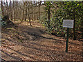 Footpath, Penslade Bottom