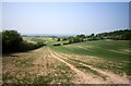 Ewelme Down