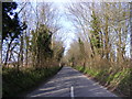 TM4770 : Westleton Road, Dunwich by Geographer