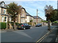 Trees in the road, The Avenue, Brecon