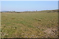 Farmland opposite Mylett Farm