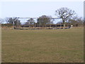 Cricket Nets at Westleton Playing Field