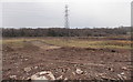 Electricity pylon east of Ponthir Road, Caerleon