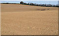 J5171 : Field near Newtownards by Albert Bridge