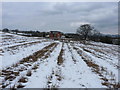 Burley Place across the fields