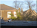 Cat on a cold slate roof