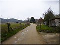 Bere Regis, bridleway