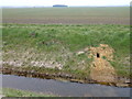 TF2601 : Large hole in the bank, Thorney Dike by Richard Humphrey