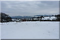 Whitton Grange from the hillside above