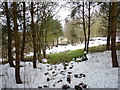 Bridleway down to Hamptonhayes Farm