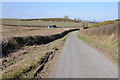 Country road near Llangynog