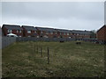 Grazing and new housing, Linton