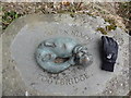 NY3703 : The Bronwen Nixon Footbridge bronze by Ian Cunliffe