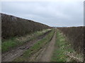 Bridleway heading east 