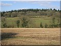 Mixed farmland, Wyre Forest