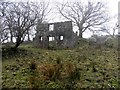 H5398 : Ruin, Stranagalwilly by Kenneth  Allen