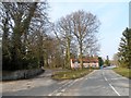 War memorial, Great Livermere