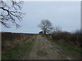 NU2303 : Farm track heading east, Morwick by JThomas