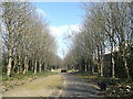 Footpath in Gillingham Business Park