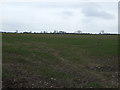 NU2106 : Farmland, Southside by JThomas