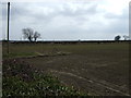 Farmland, Shilbottle