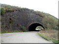 West side of Grade II listed The Big Arch, Abersychan