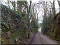 Road cutting leading into Feniton