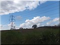 Pylon and trees silhouetted above a ploughed field