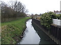 SP0095 : River Tame - Oldbury Arm - upstream at Park Hill Bridge by John M