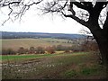 Rural Scene to the North of Sheffield