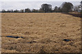 NO4052 : Straw in a field, Rosewell, Kirriemuir by Mike Pennington