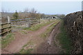 Track to farm buildings