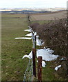 SP7790 : Fence and hedge descending into the Welland Valley by Mat Fascione