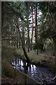 Kinness Burn beside St Andrews Botanic Gardens