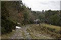 Southern Upland Way - Caves of Kilhern circular walk - (6)