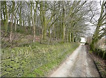 SE0721 : Dog Lane, Greetland by Humphrey Bolton