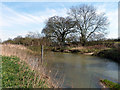 Footbridge and ford, River Roding