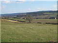 Farmland west of Frankham