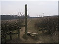 Sheffield Country Walk west of Whinacre Wood