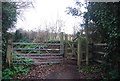 Kissing gate, South West Coast Path