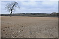 Ploughed field near Gwastad