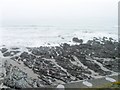 Wave cut platform, Portwrinkle