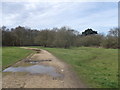 Path into Wimbledon Common