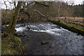 Small weir on the Coupar Burn at Little Keithick