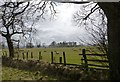 Sheep and caravans  at Coat Yards Farm