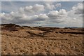 NR3669 : First glimpse of Finlaggan Plantation, Islay by Becky Williamson