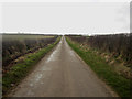 Country road near Fenton Hill