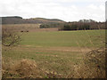 Arable land near Fenton Hill