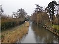 The Wey Navigation in rain: view downstream from the Tanyard Bridge