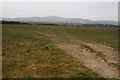 View to the Preseli Hills